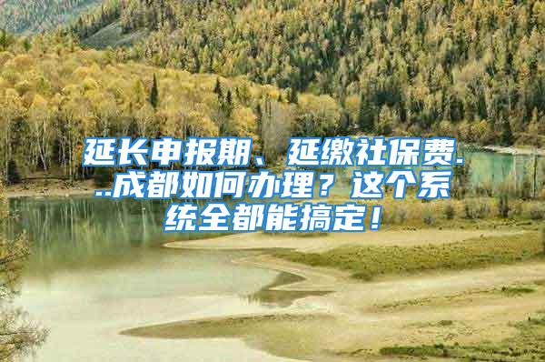 延長申報(bào)期、延繳社保費(fèi)...成都如何辦理？這個(gè)系統(tǒng)全都能搞定！