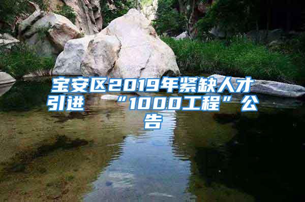 寶安區(qū)2019年緊缺人才引進  “1000工程”公告