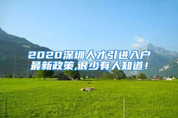 2020深圳人才引進(jìn)入戶最新政策,很少有人知道！