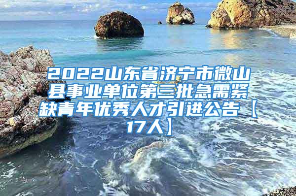 2022山東省濟寧市微山縣事業(yè)單位第三批急需緊缺青年優(yōu)秀人才引進公告【17人】