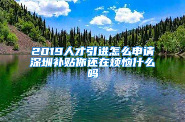 2019人才引進(jìn)怎么申請(qǐng)深圳補(bǔ)貼你還在煩惱什么嗎