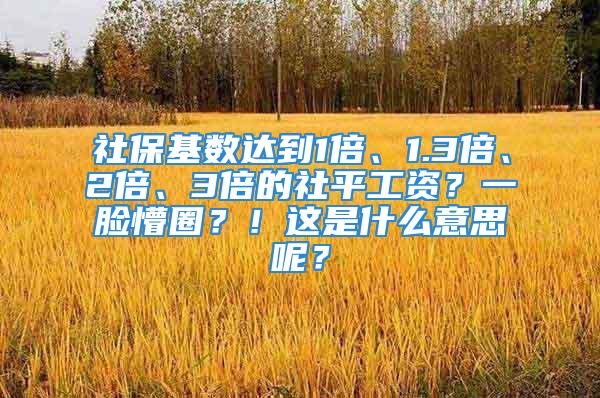 社保基數達到1倍、1.3倍、2倍、3倍的社平工資？一臉懵圈？！這是什么意思呢？