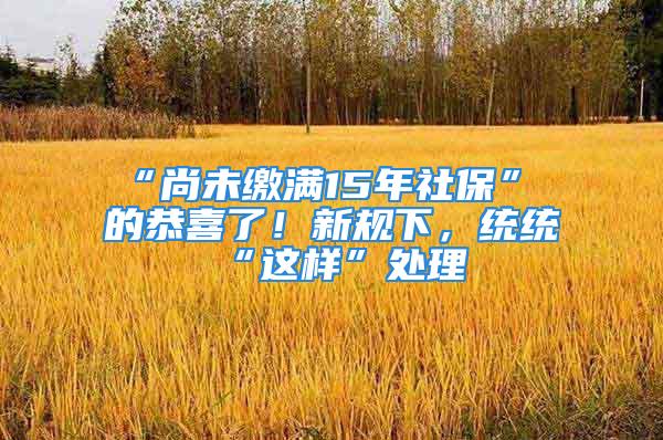 “尚未繳滿15年社?！?的恭喜了！新規(guī)下，統(tǒng)統(tǒng)“這樣”處理