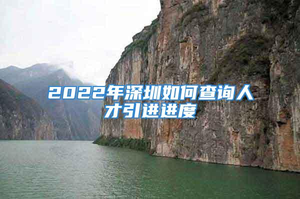 2022年深圳如何查詢?nèi)瞬乓M(jìn)進(jìn)度