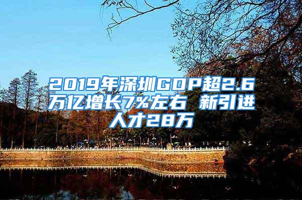 2019年深圳GDP超2.6萬(wàn)億增長(zhǎng)7%左右 新引進(jìn)人才28萬(wàn)