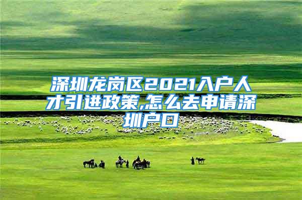 深圳龍崗區(qū)2021入戶人才引進政策,怎么去申請深圳戶口