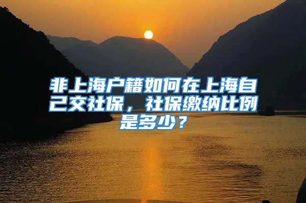 非上海戶籍如何在上海自己交社保，社保繳納比例是多少？