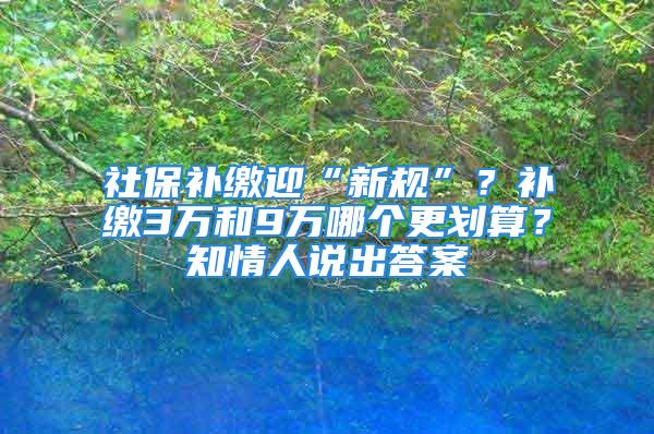 社保補繳迎“新規(guī)”？補繳3萬和9萬哪個更劃算？知情人說出答案