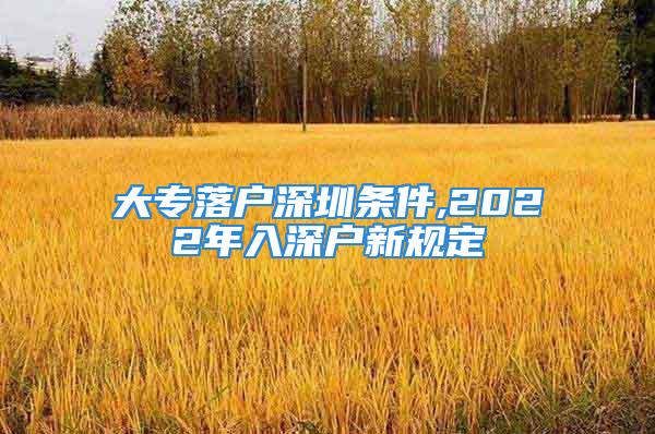 大專(zhuān)落戶(hù)深圳條件,2022年入深戶(hù)新規(guī)定