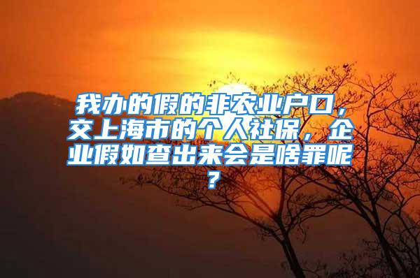 我辦的假的非農業(yè)戶口，交上海市的個人社保，企業(yè)假如查出來會是啥罪呢？