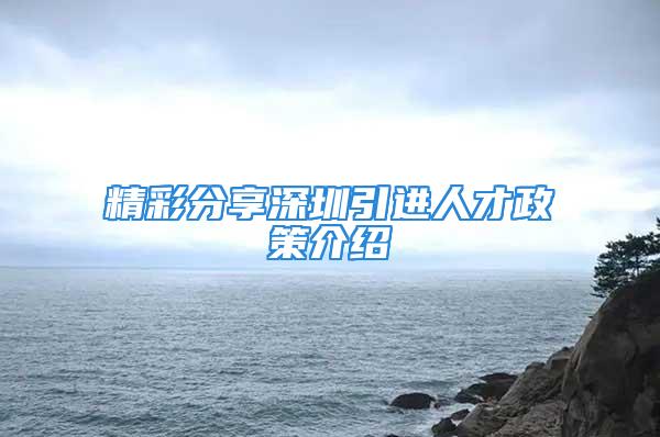 精彩分享深圳引進人才政策介紹