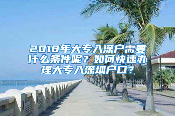 2018年大專入深戶需要什么條件呢？如何快速辦理大專入深圳戶口？