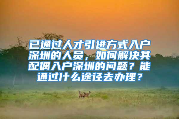 已通過人才引進(jìn)方式入戶深圳的人員，如何解決其配偶入戶深圳的問題？能通過什么途徑去辦理？