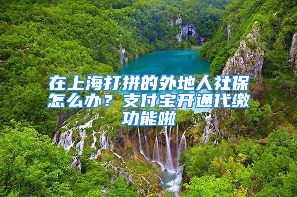 在上海打拼的外地人社保怎么辦？支付寶開通代繳功能啦