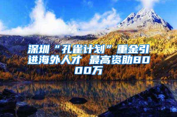 深圳“孔雀計(jì)劃”重金引進(jìn)海外人才 最高資助8000萬