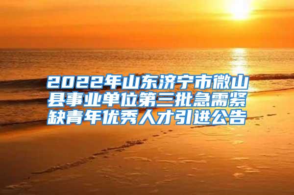 2022年山東濟(jì)寧市微山縣事業(yè)單位第三批急需緊缺青年優(yōu)秀人才引進(jìn)公告