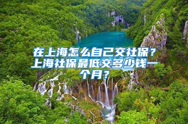 在上海怎么自己交社保？上海社保最低交多少錢一個月？