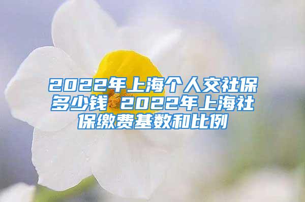 2022年上海個(gè)人交社保多少錢 2022年上海社保繳費(fèi)基數(shù)和比例