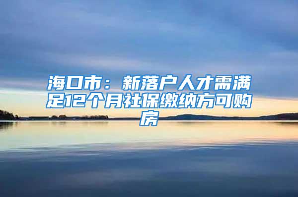 海口市：新落戶人才需滿足12個月社保繳納方可購房