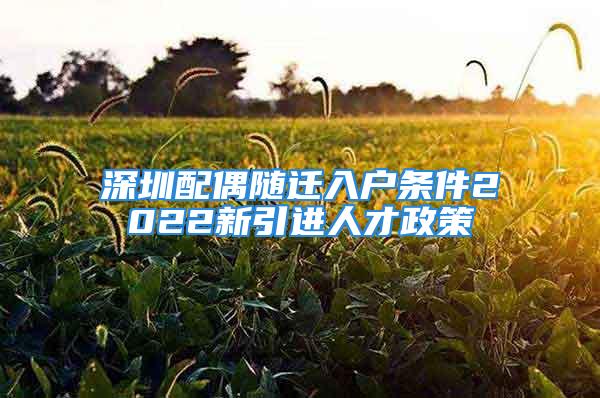 深圳配偶隨遷入戶條件2022新引進(jìn)人才政策