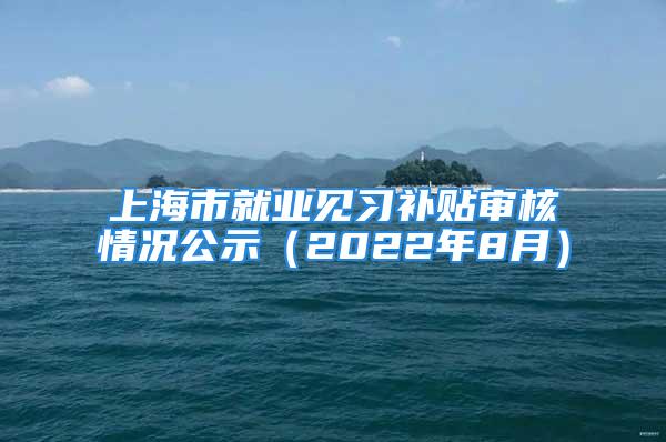 上海市就業(yè)見習(xí)補(bǔ)貼審核情況公示（2022年8月）