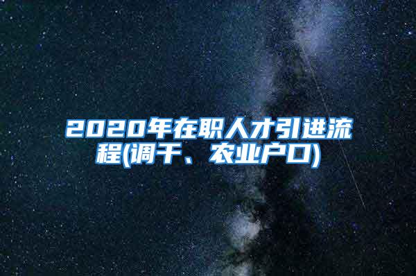 2020年在職人才引進(jìn)流程(調(diào)干、農(nóng)業(yè)戶口)