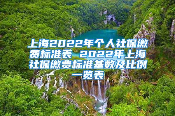 上海2022年個人社保繳費標(biāo)準表 2022年上海社保繳費標(biāo)準基數(shù)及比例一覽表