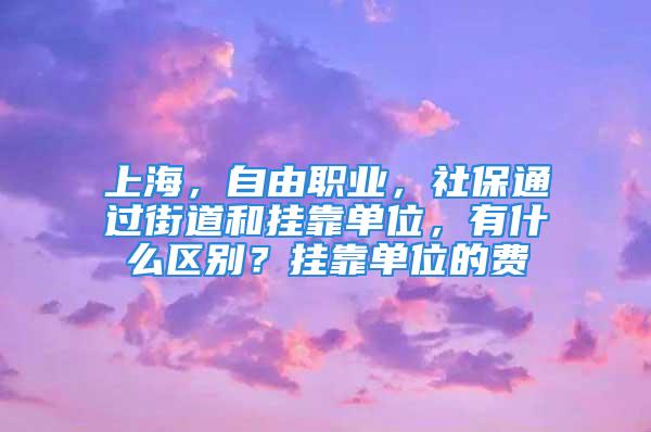 上海，自由職業(yè)，社保通過街道和掛靠單位，有什么區(qū)別？掛靠單位的費(fèi)