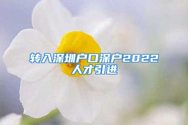 轉入深圳戶口深戶2022人才引進