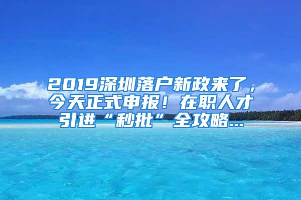 2019深圳落戶新政來了，今天正式申報！在職人才引進“秒批”全攻略...