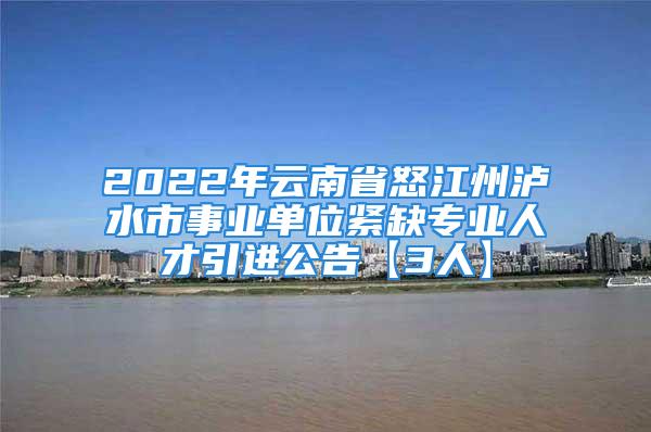 2022年云南省怒江州瀘水市事業(yè)單位緊缺專業(yè)人才引進(jìn)公告【3人】