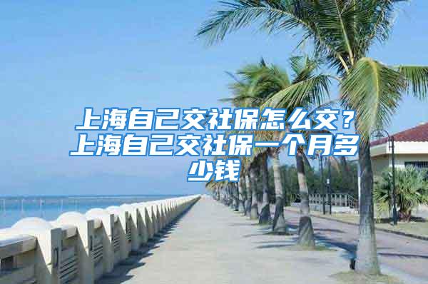 上海自己交社保怎么交？上海自己交社保一個月多少錢