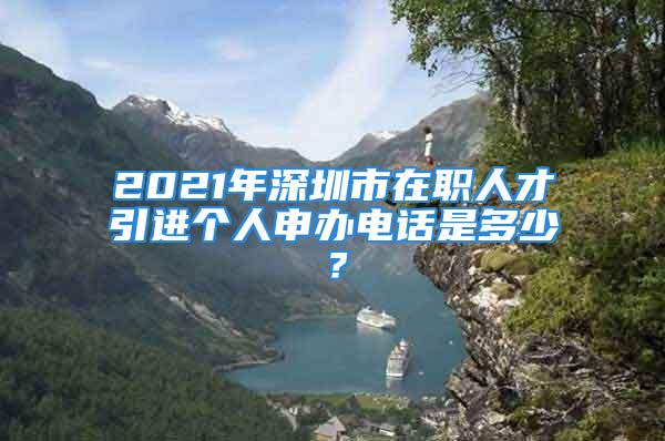 2021年深圳市在職人才引進個人申辦電話是多少？