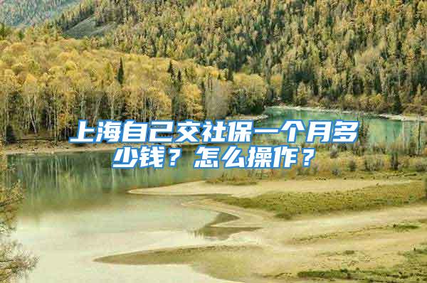 上海自己交社保一個月多少錢？怎么操作？