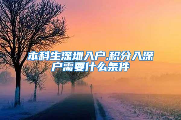 本科生深圳入戶,積分入深戶需要什么條件