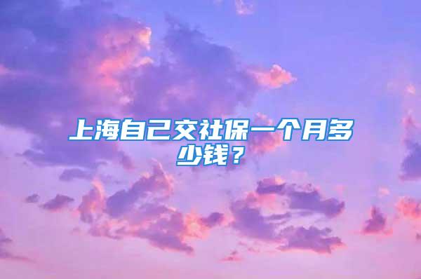 上海自己交社保一個月多少錢？