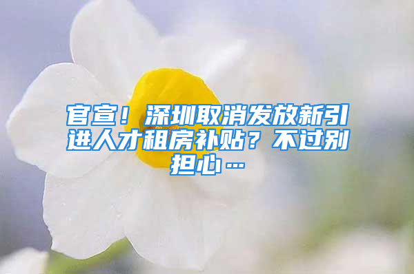 官宣！深圳取消發(fā)放新引進人才租房補貼？不過別擔心…