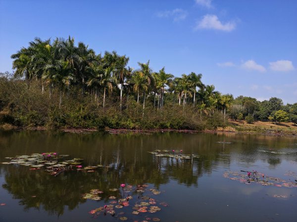 深圳核準制入戶流程