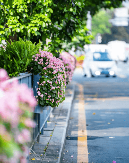 深圳戶籍非從業(yè)居民，醫(yī)保繳費(fèi)檔次如何規(guī)定的？