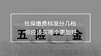 社保繳費(fèi)標(biāo)準(zhǔn)分幾檔 你應(yīng)該買哪個(gè)更加好