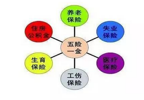 深圳五險(xiǎn)一金最新繳納比例標(biāo)準(zhǔn)(新政策)