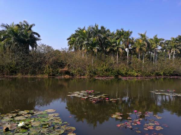 深圳市龍華區(qū)集體戶口首頁