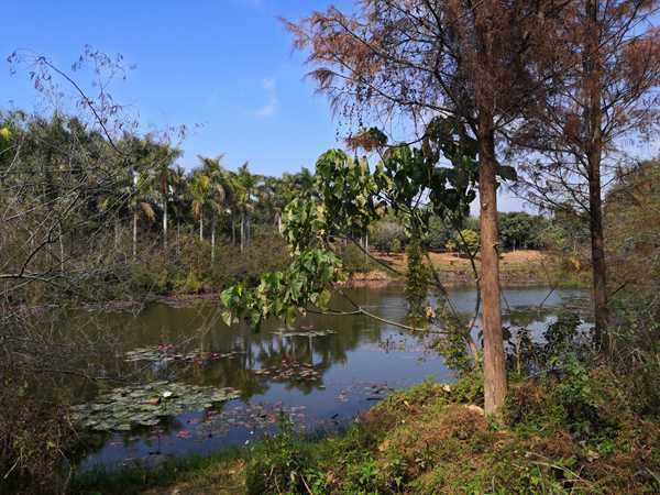 深圳市戶口隨遷流程