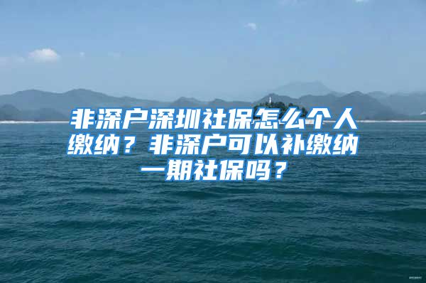 非深戶深圳社保怎么個人繳納？非深戶可以補繳納一期社保嗎？