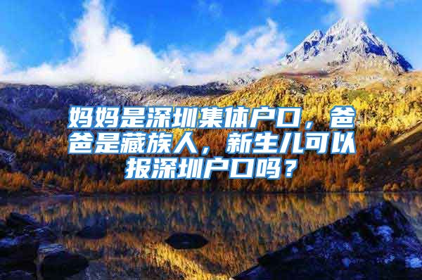 媽媽是深圳集體戶口，爸爸是藏族人，新生兒可以報深圳戶口嗎？