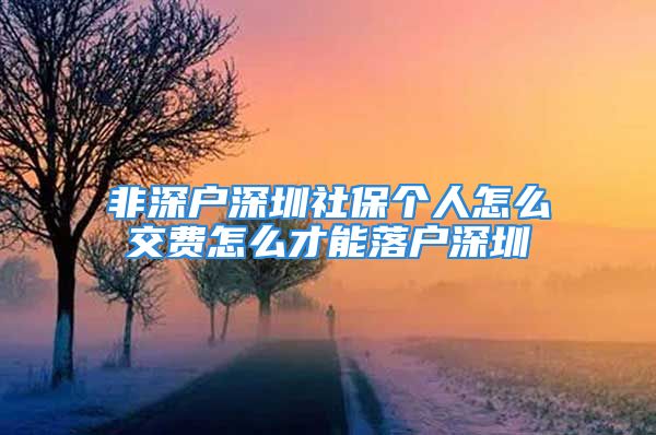 非深戶深圳社保個人怎么交費怎么才能落戶深圳