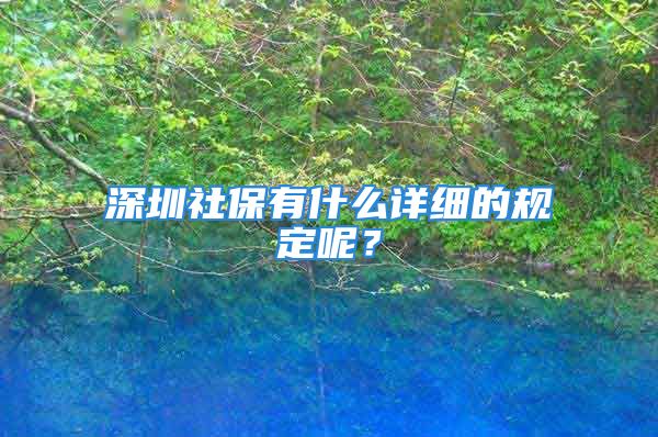 深圳社保有什么詳細(xì)的規(guī)定呢？