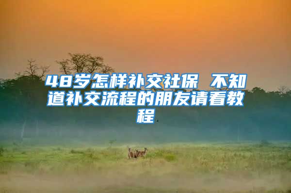 48歲怎樣補交社保 不知道補交流程的朋友請看教程