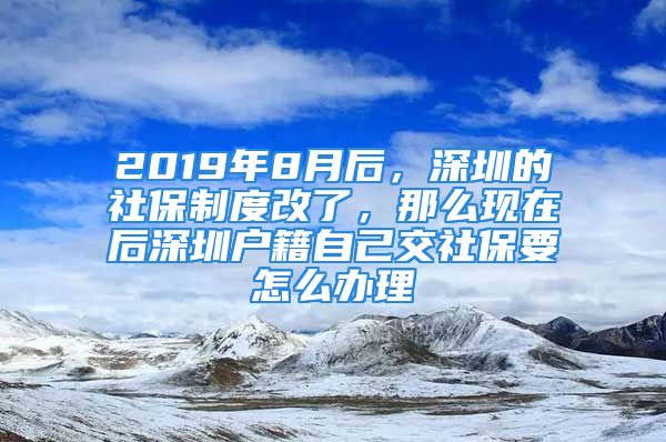 2019年8月后，深圳的社保制度改了，那么現(xiàn)在后深圳戶籍自己交社保要怎么辦理