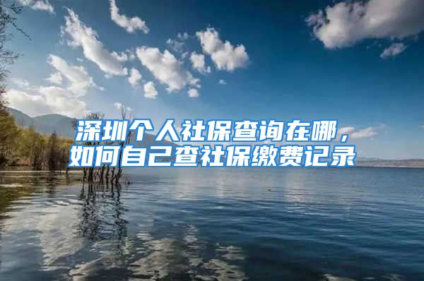 深圳個人社保查詢在哪，如何自己查社保繳費記錄